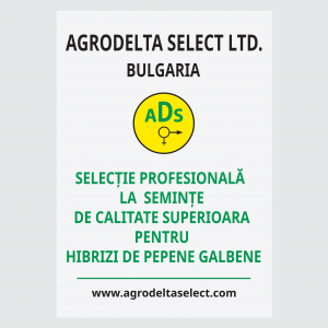 Плакати - винил